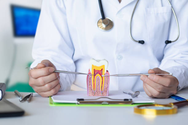 Best Emergency Dentist for Knocked-Out Tooth in Ladonia, AL